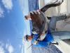 May_27_2026_Sailfish2__2_.jpeg