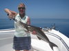 MelissaSawin37Cobia.JPG