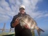 Michael_Batiste_Sheepshead-jpeg1.jpg