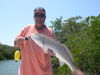 Monster_Reds_II_014.JPG