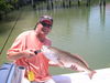 Monster_Reds_II_017.JPG