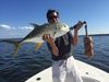 More_Giant_Jack_Crevalle.jpg