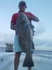 Mr_Colby_Sultans_50sh_black_drum.JPG