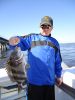 Mr_Dillon_Sheepshead-jpeg.jpg