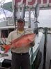 Mutton_Snapper1.jpg