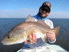 NewOrleans2012002doug.JPG