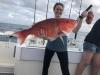 New_Smyrna_Beach__Ponce_Inlet_and_Daytona_Beach_offshore_fishing_charters__1_.JPEG