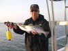 Nice_Spring_Trout_0011.JPG