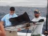 Nice_sailfish_caught_by_Bruno_Coutier_fishing_with_New_Lattitude_Sportfishing.JPG