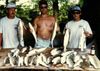 Nice_specks_an_some_flounder.JPG