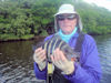 NickRedingSBflysheepshead.jpg