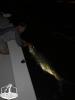 Night_time_Fly_Fishing_Charters__1_of_1_.jpg