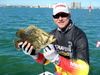 North_Bay_Tripletail_5.jpg