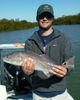 November_2012_redfish_William_Gilbert.jpg