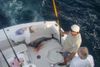 Oct25-taco-hooked-up-charter-fish-sailfish-sail-fish-fishing.jpg