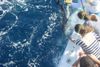 Oct26-v4-Whole-gang-checking-sailfish-.jpg