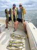 Oct_2024_Mahi1.jpg