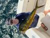 October_Mahi32025.jpg