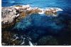 Old_Scans_Paua_197.jpg