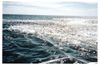Old_Scans_Paua_205.jpg