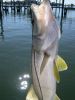 On_The_Mark_Charters_001.JPG