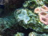 P1000140.JPG