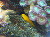 P1000411.JPG