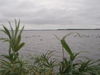 P10100165.JPG