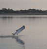 P1011297-2.JPG