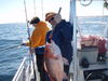 P1150646.JPG