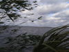 P1170002.JPG