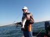 PB110080.JPG