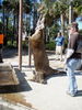 PC040592.JPG