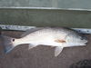 PC060015.JPG