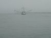 PICT00034.JPG