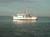 PICT00042.JPG