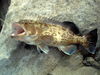 PICT00082.JPG