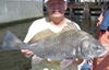 PICT0015_2_.JPG