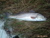 PICT0017.JPG