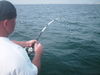 PICT0018.JPG