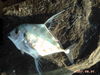 PICT00551.JPG