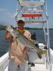 PTTS_2009_067.jpg