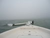 Pea_Soup_004.JPG