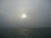 Pea_Soup_005.JPG