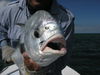 Permit-3.JPG