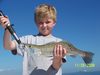 Picture_0041.jpg