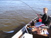 Picture_0042.jpg