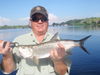 Picture_0076.jpg