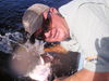 Picture_0211.jpg