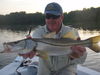 Picture_050.jpg